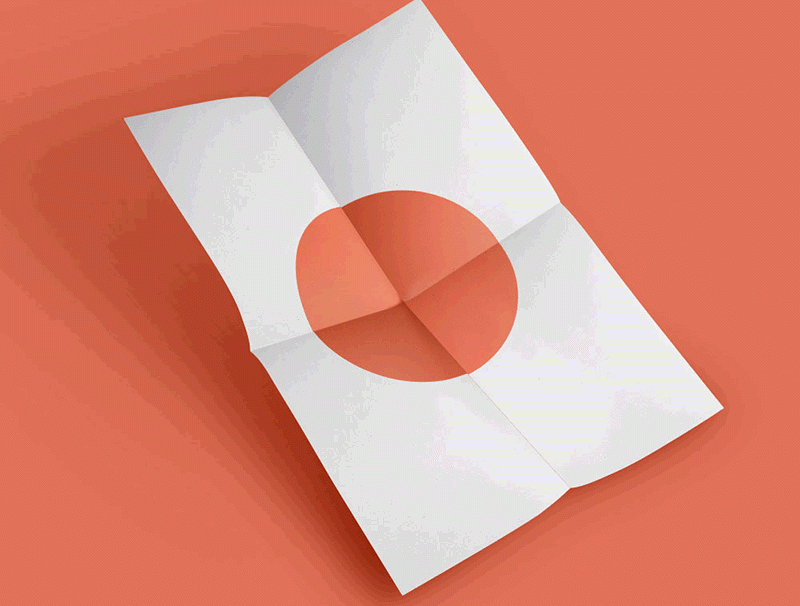 portfolio-5