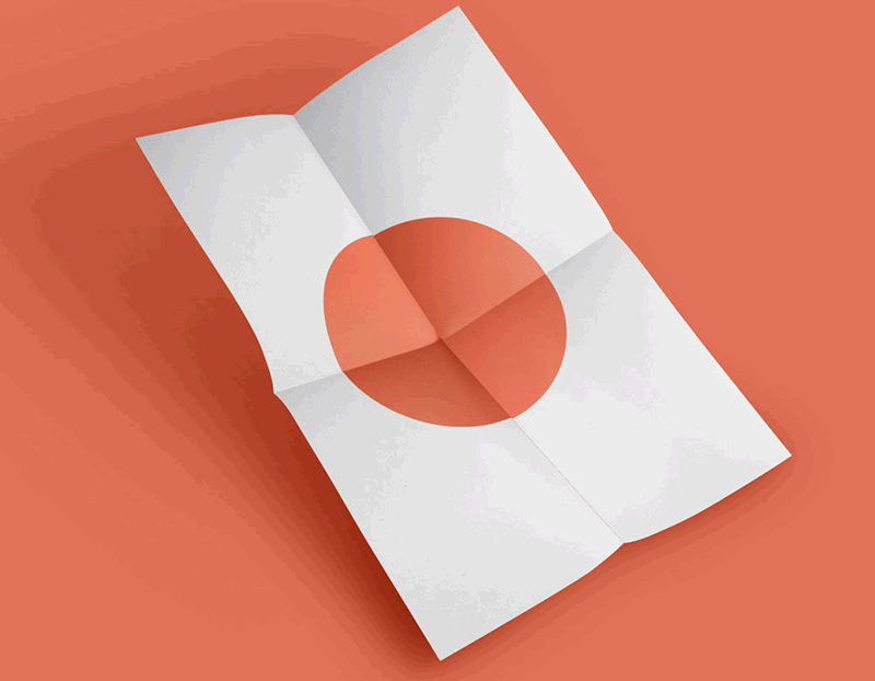 portfolio-5